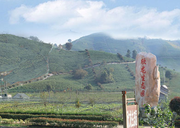 溧陽欣龍生態園